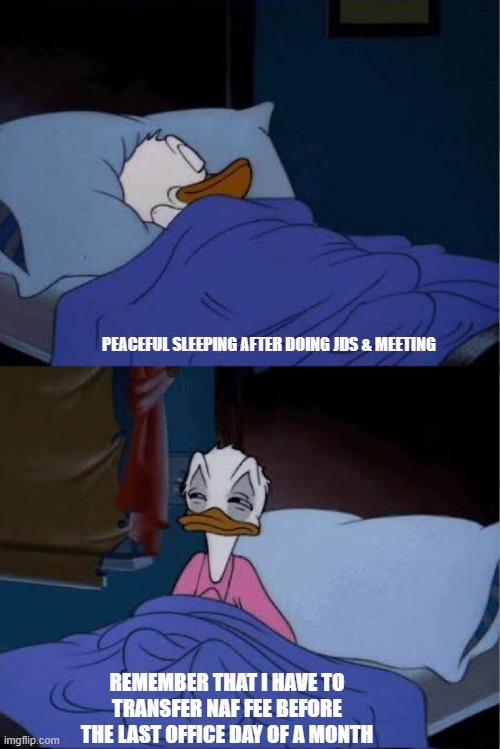 donald duck waking up | PEACEFUL SLEEPING AFTER DOING JDS & MEETING; REMEMBER THAT I HAVE TO TRANSFER NAF FEE BEFORE THE LAST OFFICE DAY OF A MONTH | image tagged in donald duck waking up | made w/ Imgflip meme maker