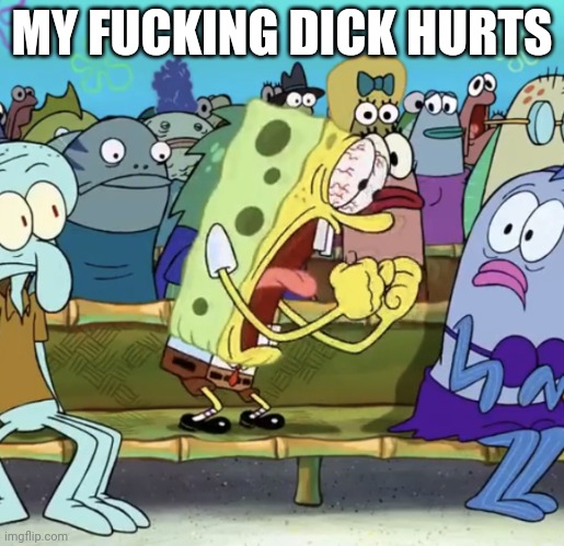 :( | MY FUCKING DICK HURTS | image tagged in spongebob yelling | made w/ Imgflip meme maker