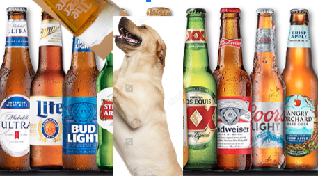 beer dog Blank Meme Template