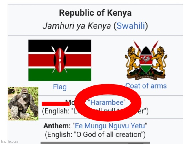 Harambe | image tagged in harambe,kenya,wikipedia,name soundalikes,africa | made w/ Imgflip meme maker