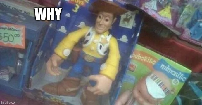 ohio woody | WHY | image tagged in ohio woody | made w/ Imgflip meme maker