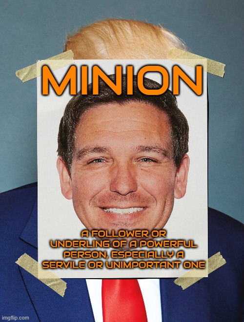 MINION | MINION; A FOLLOWER OR UNDERLING OF A POWERFUL PERSON, ESPECIALLY A SERVILE OR UNIMPORTANT ONE | image tagged in minion,flunkey,henchmen,lackey,disciple,follower | made w/ Imgflip meme maker