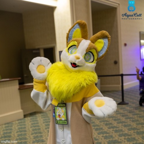 OML I WANNA HUG THEM {cry} (I searched yamper fursuit btw) (Fursuit owned by Wubbzy) | image tagged in furry | made w/ Imgflip meme maker