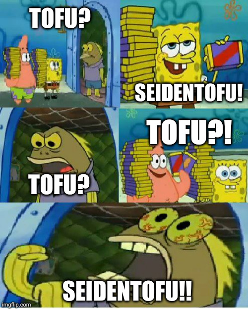 Too much tofu to handle | TOFU? SEIDENTOFU! TOFU?! TOFU? SEIDENTOFU!! | image tagged in memes,chocolate spongebob | made w/ Imgflip meme maker