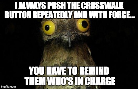 Pootoo Bird | I ALWAYS PUSH THE CROSSWALK BUTTON REPEATEDLY AND WITH FORCE... YOU HAVE TO REMIND THEM WHO'S IN CHARGE | image tagged in pootoo bird | made w/ Imgflip meme maker