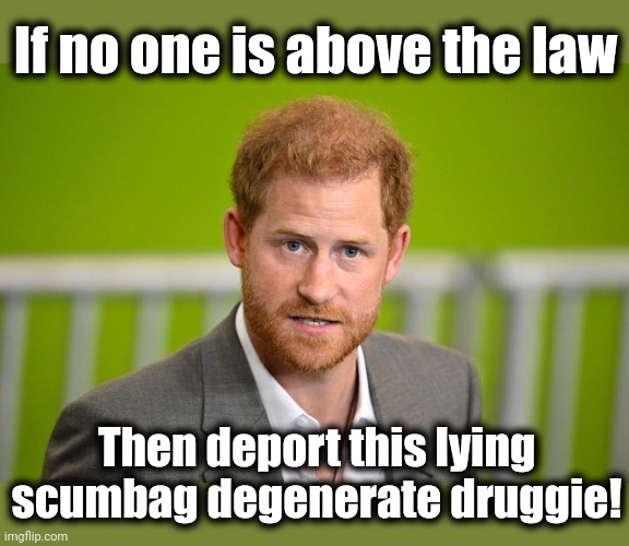 If no one is above the law; Then deport this lying scumbag degenerate druggie! | image tagged in memes,prince harry,meghan markle,leftists,liberals,royals | made w/ Imgflip meme maker