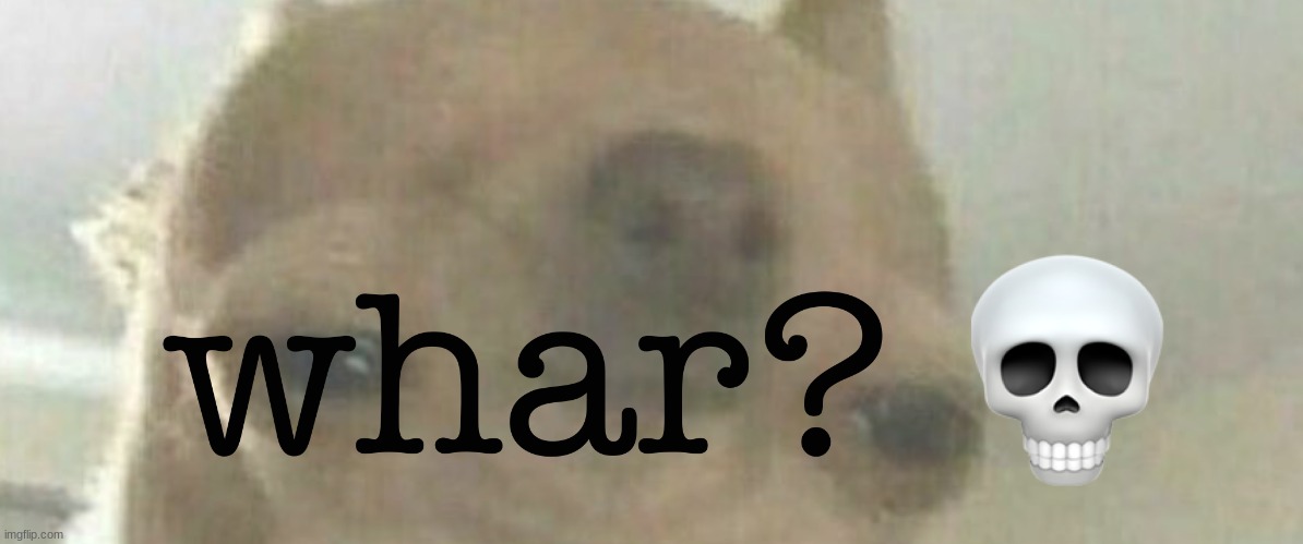whar | image tagged in whar | made w/ Imgflip meme maker