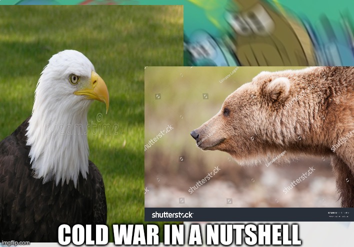 Cold War | COLD WAR IN A NUTSHELL | image tagged in memes | made w/ Imgflip meme maker