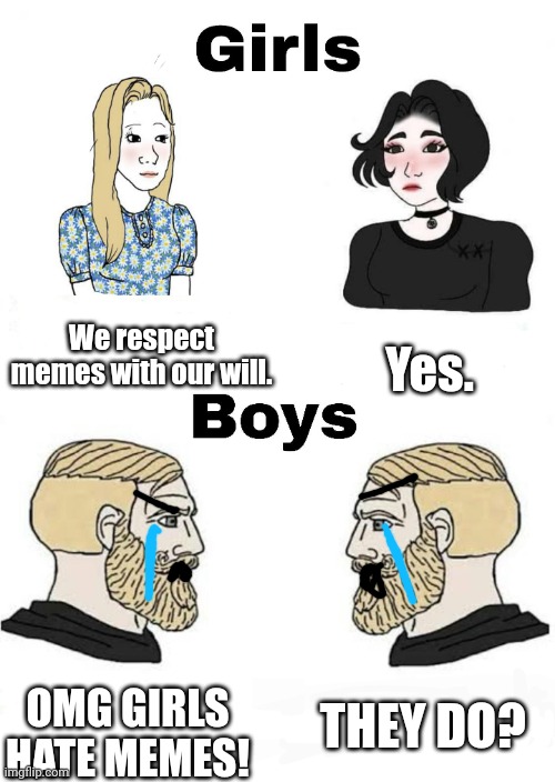 Bro like we get it YOU think we hate memes? Well.. we like them! | We respect memes with our will. Yes. THEY DO? OMG GIRLS HATE MEMES! | image tagged in girls vs boys,women | made w/ Imgflip meme maker