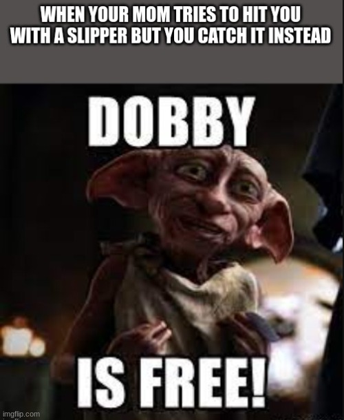 dobby is free | image tagged in dobby | made w/ Imgflip meme maker