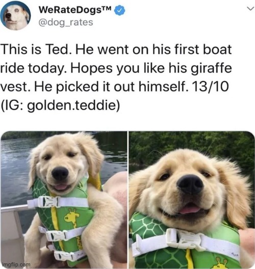 This is super wholesome | image tagged in memes,funny,wholesome | made w/ Imgflip meme maker