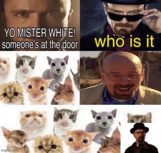 walter got friends | image tagged in wholesome,breaking bad,memes,funny | made w/ Imgflip meme maker