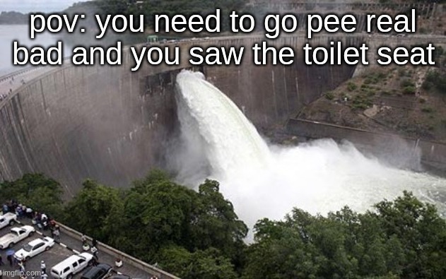 I just have a urge to pee as soon as I see the toilet and it's so hard to hold it in, can anyone relate? | pov: you need to go pee real bad and you saw the toilet seat | image tagged in floodgate | made w/ Imgflip meme maker
