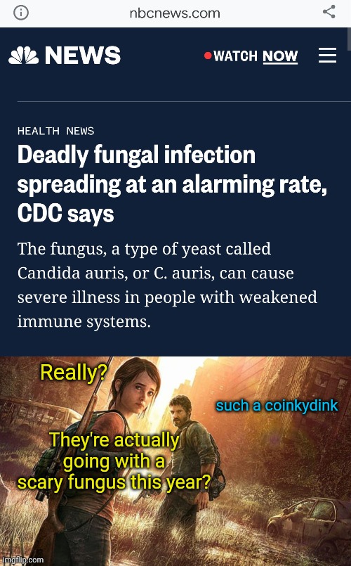 they usually spin a wheel every year | Really? such a coinkydink; They're actually going with a scary fungus this year? | image tagged in the last of us,cdc,public health | made w/ Imgflip meme maker