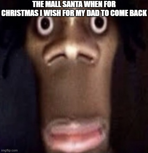 Quandale dingle | THE MALL SANTA WHEN FOR CHRISTMAS I WISH FOR MY DAD TO COME BACK | image tagged in quandale dingle | made w/ Imgflip meme maker