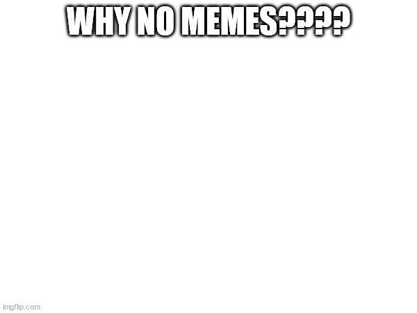 ? | WHY NO MEMES???? | image tagged in idk | made w/ Imgflip meme maker