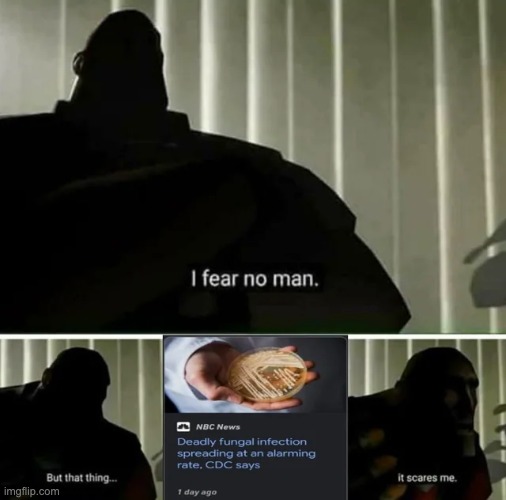 image tagged in memes,funny | made w/ Imgflip meme maker