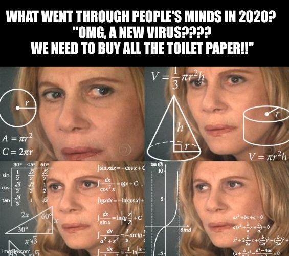 gone, ruduced to atoms | WHAT WENT THROUGH PEOPLE'S MINDS IN 2020? 
"OMG, A NEW VIRUS???? WE NEED TO BUY ALL THE TOILET PAPER!!" | image tagged in calculating meme | made w/ Imgflip meme maker