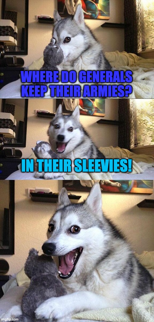 Bad Pun Dog Meme | WHERE DO GENERALS KEEP THEIR ARMIES? IN THEIR SLEEVIES! | image tagged in memes,bad pun dog,dad joke,funny | made w/ Imgflip meme maker