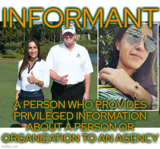 IN FOR MAN T | INFORMANT; A PERSON WHO PROVIDES PRIVILEGED INFORMATION ABOUT A PERSON OR ORGANIZATION TO AN AGENCY | image tagged in informant,snitch,confidential human sources,criminal informants,jailhouse informants,nark | made w/ Imgflip meme maker