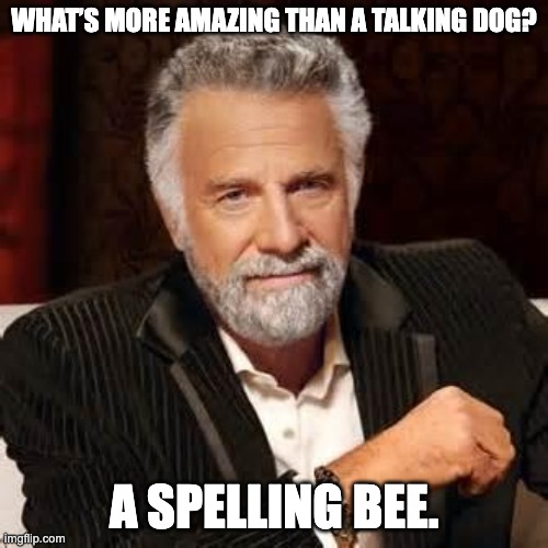 Dos Equis Guy Awesome | WHAT’S MORE AMAZING THAN A TALKING DOG? A SPELLING BEE. | image tagged in dos equis guy awesome,dad joke,memes,funny | made w/ Imgflip meme maker