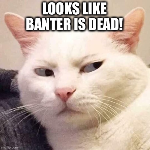 White cat suspicious | LOOKS LIKE BANTER IS DEAD! | image tagged in white cat suspicious | made w/ Imgflip meme maker