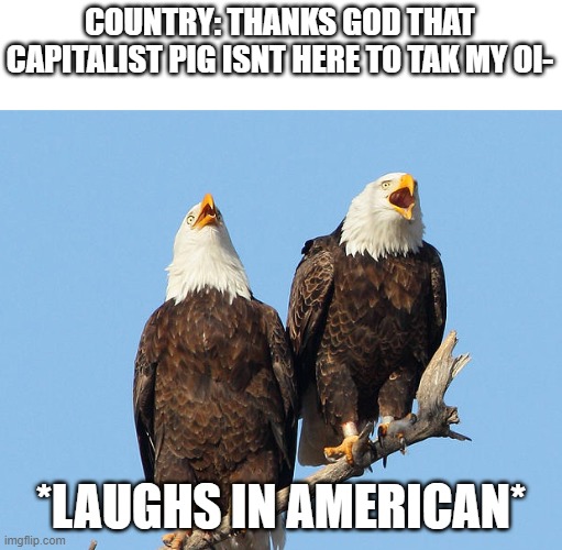 Laughs in American | COUNTRY: THANKS GOD THAT CAPITALIST PIG ISNT HERE TO TAK MY OI-; *LAUGHS IN AMERICAN* | image tagged in laughs in american | made w/ Imgflip meme maker