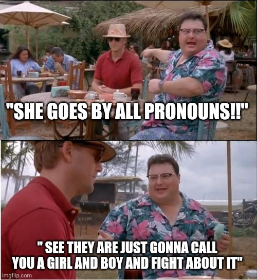 Everyone says "he goes by boy pronouns" or "she goes by girl pronouns" like dudes I keep saying ALL | "SHE GOES BY ALL PRONOUNS!!"; " SEE THEY ARE JUST GONNA CALL YOU A GIRL AND BOY AND FIGHT ABOUT IT" | image tagged in memes,see nobody cares | made w/ Imgflip meme maker