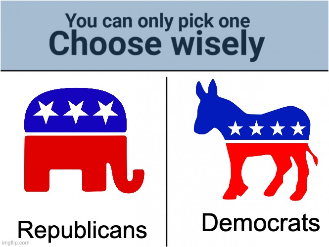 you can pick only one choose wisely | Republicans; Democrats | image tagged in you can pick only one choose wisely,politics,memes,democrat,republican | made w/ Imgflip meme maker