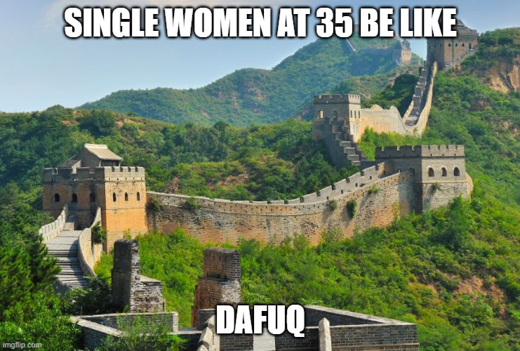 1000 bricks | SINGLE WOMEN AT 35 BE LIKE; DAFUQ | image tagged in the wall,another brick in the wall,pregnant woman,pregnancy | made w/ Imgflip meme maker