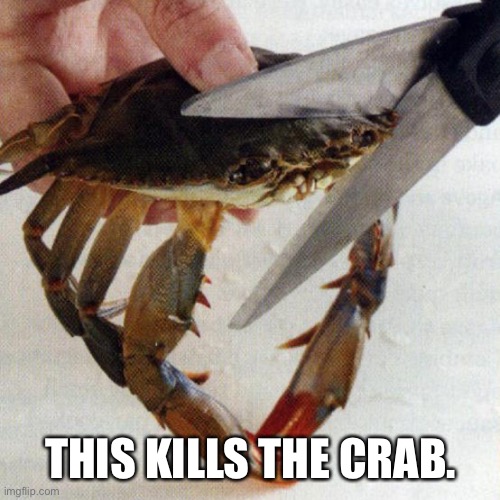 This Kills the Crab | THIS KILLS THE CRAB. | image tagged in this kills the crab | made w/ Imgflip meme maker