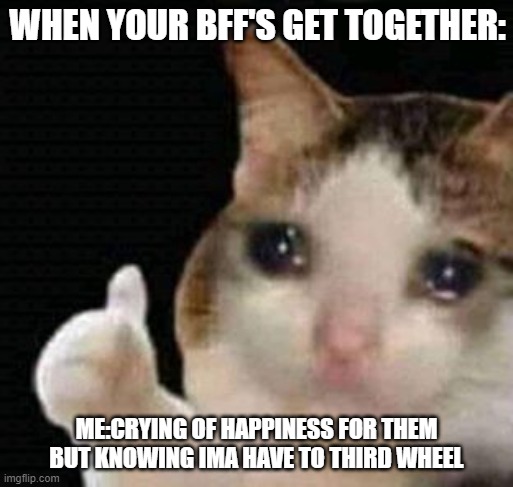 happy but sad / have a nice day | WHEN YOUR BFF'S GET TOGETHER:; ME:CRYING OF HAPPINESS FOR THEM BUT KNOWING IMA HAVE TO THIRD WHEEL | image tagged in sad thumbs up cat,date,bffs,happy,sad,third wheel | made w/ Imgflip meme maker