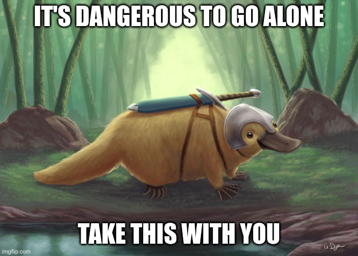 It's Dangerous To Go Alone | IT'S DANGEROUS TO GO ALONE; TAKE THIS WITH YOU | image tagged in platypus,the legend of zelda | made w/ Imgflip meme maker