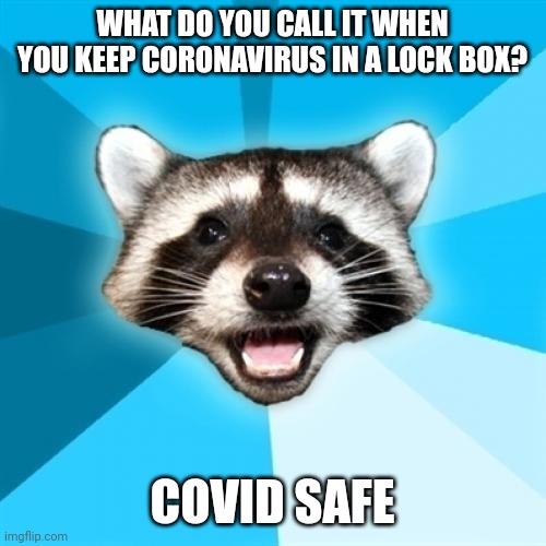 COVID safe | WHAT DO YOU CALL IT WHEN YOU KEEP CORONAVIRUS IN A LOCK BOX? COVID SAFE | image tagged in memes,lame pun coon | made w/ Imgflip meme maker