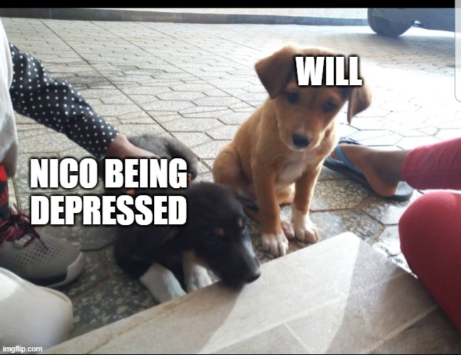 Nico and will | WILL; NICO BEING DEPRESSED | image tagged in percy vs nico | made w/ Imgflip meme maker