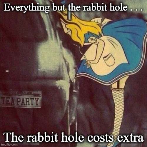 Everything but the rabbit hole . . . The rabbit hole costs extra | made w/ Imgflip meme maker