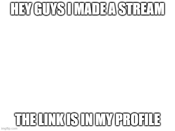 idk what to put here | HEY GUYS I MADE A STREAM; THE LINK IS IN MY PROFILE | image tagged in idk | made w/ Imgflip meme maker