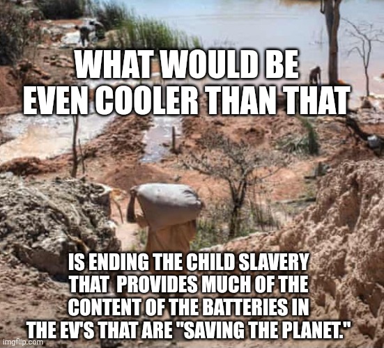 WHAT WOULD BE EVEN COOLER THAN THAT IS ENDING THE CHILD SLAVERY THAT  PROVIDES MUCH OF THE CONTENT OF THE BATTERIES IN THE EV'S THAT ARE "SA | made w/ Imgflip meme maker