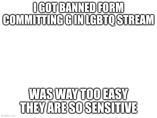 yewhj |  I GOT BANNED FORM COMMITTING G IN LGBTQ STREAM; WAS WAY TOO EASY THEY ARE SO SENSITIVE | image tagged in khgkjsd | made w/ Imgflip meme maker