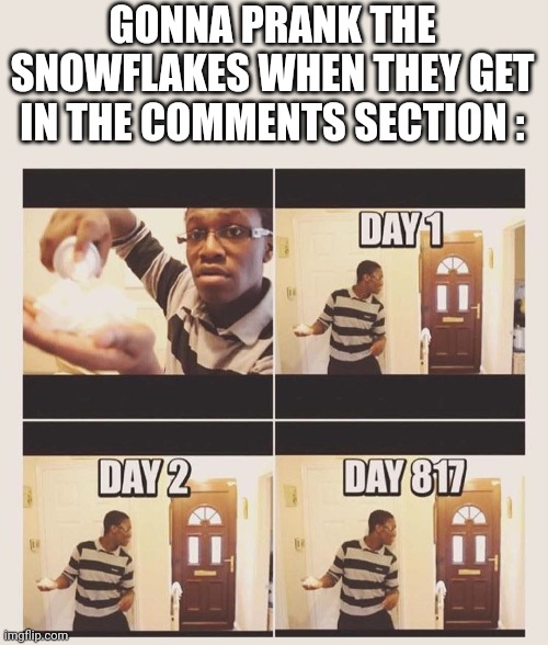 gonna prank x when he/she gets home | GONNA PRANK THE SNOWFLAKES WHEN THEY GET IN THE COMMENTS SECTION : | image tagged in gonna prank x when he/she gets home | made w/ Imgflip meme maker