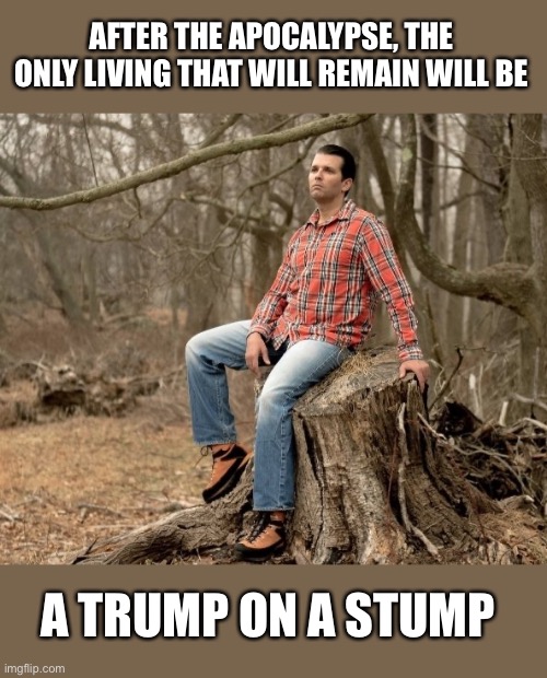 Trump On The Stump (not that one...) | AFTER THE APOCALYPSE, THE ONLY LIVING THAT WILL REMAIN WILL BE; A TRUMP ON A STUMP | image tagged in trump on the stump not that one | made w/ Imgflip meme maker