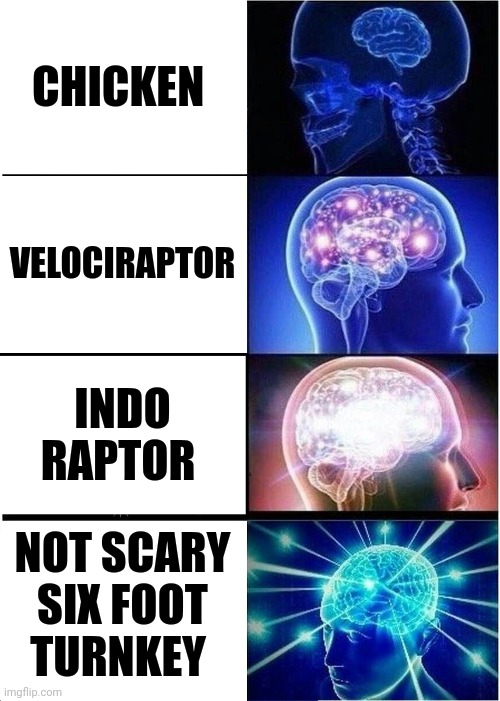 Not scary Six foot turnkey | CHICKEN; VELOCIRAPTOR; INDO RAPTOR; NOT SCARY SIX FOOT TURNKEY | image tagged in memes,expanding brain,jurassic park,jurassicparkfan102504,jpfan102504 | made w/ Imgflip meme maker