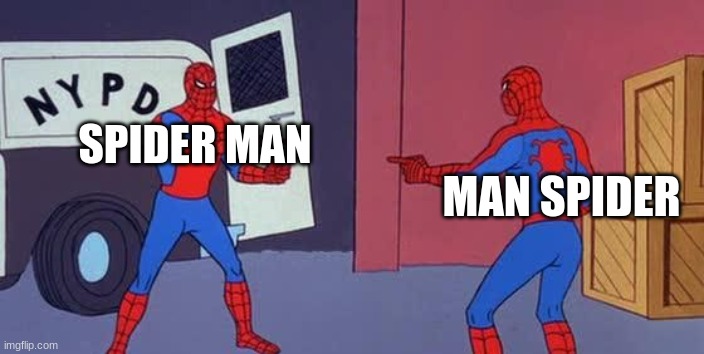 Spider Man Double | SPIDER MAN MAN SPIDER | image tagged in spider man double | made w/ Imgflip meme maker