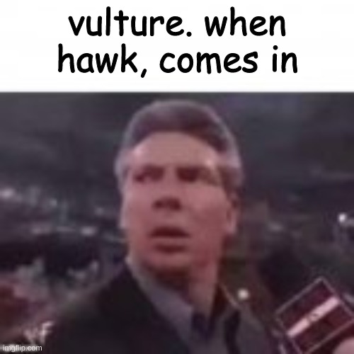 vulture. when hawk, comes in | made w/ Imgflip meme maker