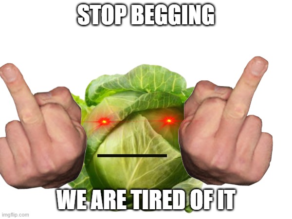 send this to iceu someone | STOP BEGGING; WE ARE TIRED OF IT | image tagged in mr cabbage | made w/ Imgflip meme maker