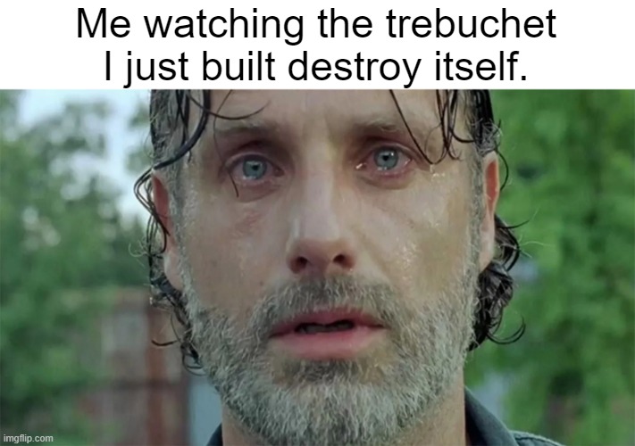 Trebuchet suicide | Me watching the trebuchet I just built destroy itself. | image tagged in rick grimes,history | made w/ Imgflip meme maker
