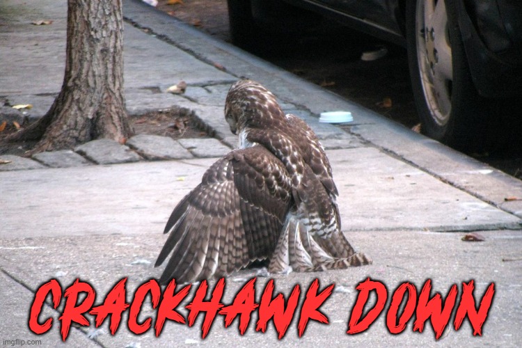 Crackhawk Down | CRACKHAWK DOWN | image tagged in drug,hak,blackhawk | made w/ Imgflip meme maker