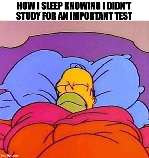 Sleep | HOW I SLEEP KNOWING I DIDN'T STUDY FOR AN IMPORTANT TEST | image tagged in homer simpson sleeping peacefully | made w/ Imgflip meme maker