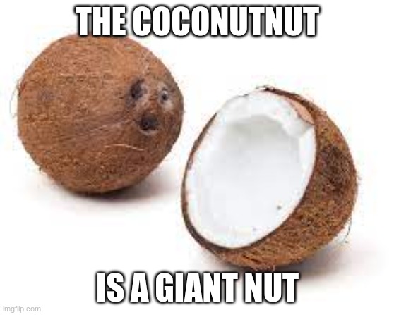 coconutz | THE COCONUTNUT; IS A GIANT NUT | image tagged in you just got coconut malled | made w/ Imgflip meme maker