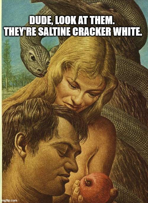 DUDE, LOOK AT THEM.  
THEY'RE SALTINE CRACKER WHITE. | made w/ Imgflip meme maker